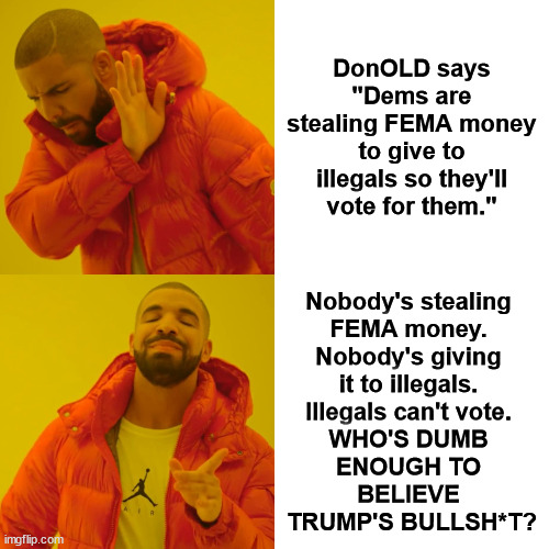 How gullible can you be? | DonOLD says "Dems are stealing FEMA money to give to illegals so they'll vote for them."; Nobody's stealing 
FEMA money. 
Nobody's giving 
it to illegals. 
Illegals can't vote. 
WHO'S DUMB 
ENOUGH TO 
BELIEVE 
TRUMP'S BULLSH*T? | image tagged in memes,drake hotline bling,trump,liar,racist,loser | made w/ Imgflip meme maker