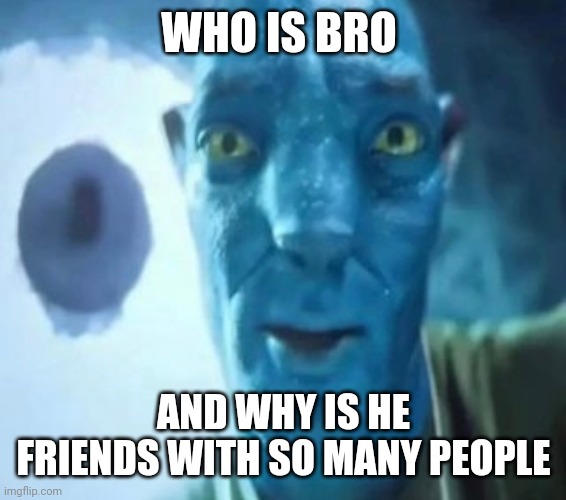 Avatar guy | WHO IS BRO; AND WHY IS HE FRIENDS WITH SO MANY PEOPLE | image tagged in avatar guy | made w/ Imgflip meme maker