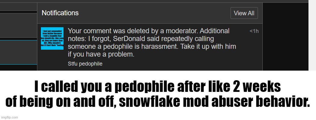 That rule is so stupid, I don't care what Ser Donald says he didn't deserve to be even touching MSmg | I called you a pedophile after like 2 weeks of being on and off, snowflake mod abuser behavior. | made w/ Imgflip meme maker