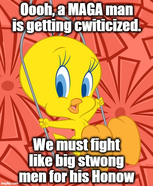 Tweety Bird | Oooh, a MAGA man is getting cwiticized. We must fight like big stwong men for his Honow | image tagged in tweety bird | made w/ Imgflip meme maker