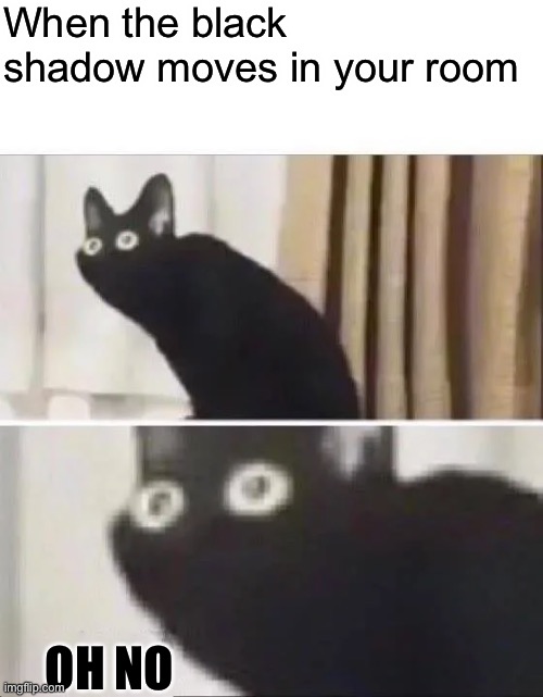 Oh No Black Cat | When the black shadow moves in your room; OH NO | image tagged in oh no black cat | made w/ Imgflip meme maker