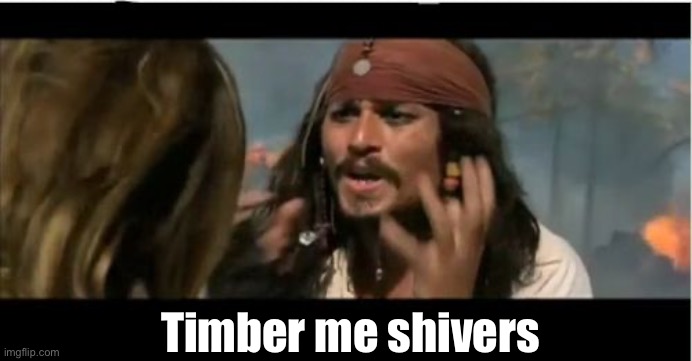 Why Is The Rum Gone | Timber me shivers | image tagged in memes,why is the rum gone | made w/ Imgflip meme maker