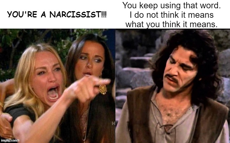 Inconceivable | YOU'RE A NARCISSIST!!! You keep using that word.
I do not think it means
what you think it means. | image tagged in funny memes,narcissist,narcissism,drama | made w/ Imgflip meme maker