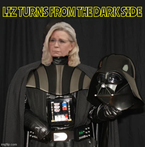 Turned from the dark side | LIZ TURNS FROM THE DARK SIDE | image tagged in turned from the dark side,liz vader,star wars,darth vader,voting for denocracy,harris rally | made w/ Imgflip meme maker