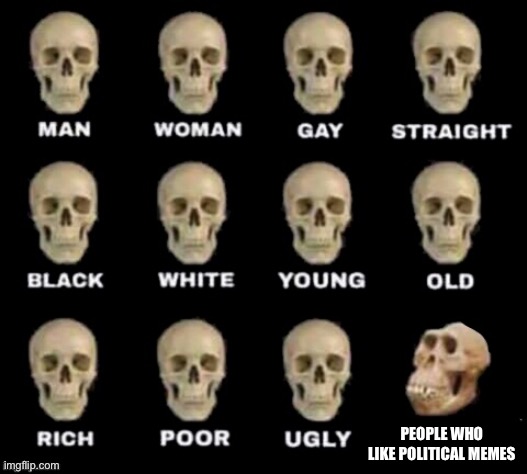 idiot skull | PEOPLE WHO LIKE POLITICAL MEMES | image tagged in idiot skull | made w/ Imgflip meme maker