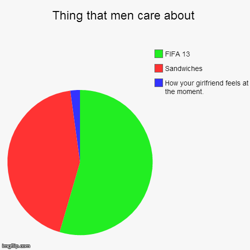 lads mind | image tagged in fifa,girls,memes,funny,pie charts