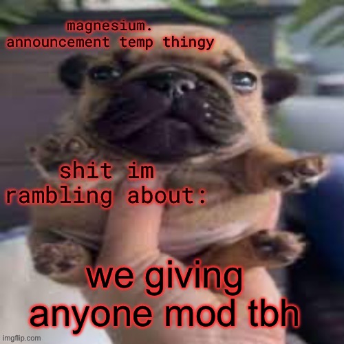 pug temp | we giving anyone mod tbh | image tagged in pug temp | made w/ Imgflip meme maker