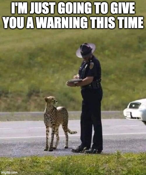 Cheetah and Police | I'M JUST GOING TO GIVE YOU A WARNING THIS TIME | image tagged in cheetah,police officer | made w/ Imgflip meme maker