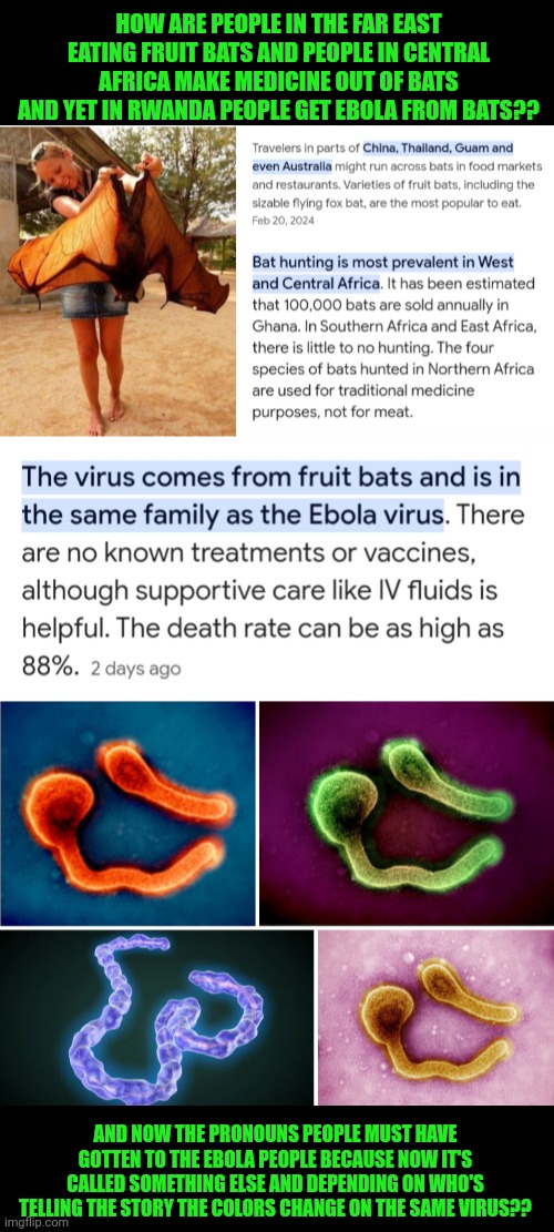 Funny | HOW ARE PEOPLE IN THE FAR EAST EATING FRUIT BATS AND PEOPLE IN CENTRAL AFRICA MAKE MEDICINE OUT OF BATS AND YET IN RWANDA PEOPLE GET EBOLA FROM BATS?? AND NOW THE PRONOUNS PEOPLE MUST HAVE GOTTEN TO THE EBOLA PEOPLE BECAUSE NOW IT'S CALLED SOMETHING ELSE AND DEPENDING ON WHO'S TELLING THE STORY THE COLORS CHANGE ON THE SAME VIRUS?? | image tagged in funny,medicine,food,bats,virus,pronouns | made w/ Imgflip meme maker