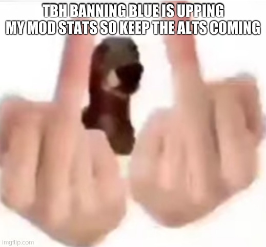 fuck you | TBH BANNING BLUE IS UPPING MY MOD STATS SO KEEP THE ALTS COMING | image tagged in fuck you | made w/ Imgflip meme maker