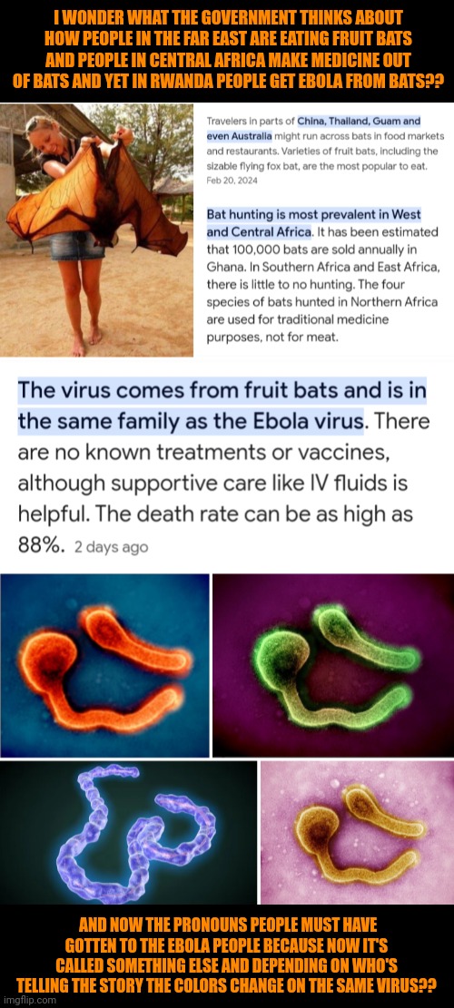 Funny | I WONDER WHAT THE GOVERNMENT THINKS ABOUT HOW PEOPLE IN THE FAR EAST ARE EATING FRUIT BATS AND PEOPLE IN CENTRAL AFRICA MAKE MEDICINE OUT OF BATS AND YET IN RWANDA PEOPLE GET EBOLA FROM BATS?? AND NOW THE PRONOUNS PEOPLE MUST HAVE GOTTEN TO THE EBOLA PEOPLE BECAUSE NOW IT'S CALLED SOMETHING ELSE AND DEPENDING ON WHO'S TELLING THE STORY THE COLORS CHANGE ON THE SAME VIRUS?? | image tagged in asia,africa,medicine,virus,food,politics | made w/ Imgflip meme maker