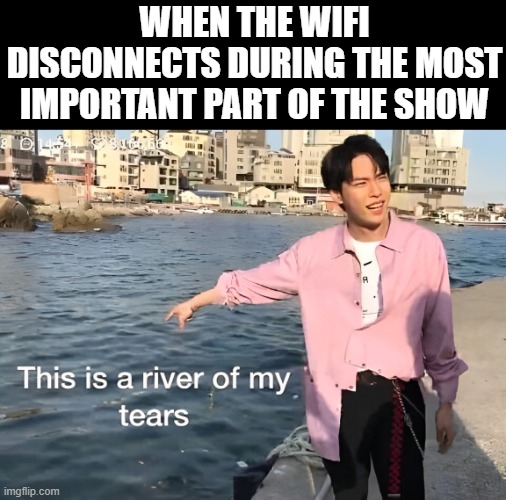 wifi | WHEN THE WIFI DISCONNECTS DURING THE MOST IMPORTANT PART OF THE SHOW | image tagged in memes | made w/ Imgflip meme maker