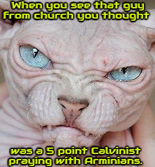 Praying With The Enemy | When you see that guy from church you thought; was a 5 point Calvinist praying with Arminians. | image tagged in calvinism,arminian,molinist,praying,triggered 5 pointer,the enemy | made w/ Imgflip meme maker