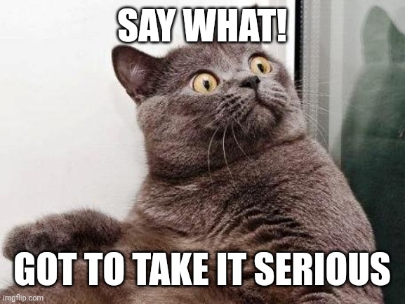 Surprised cats | SAY WHAT! GOT TO TAKE IT SERIOUS | image tagged in surprised cat | made w/ Imgflip meme maker