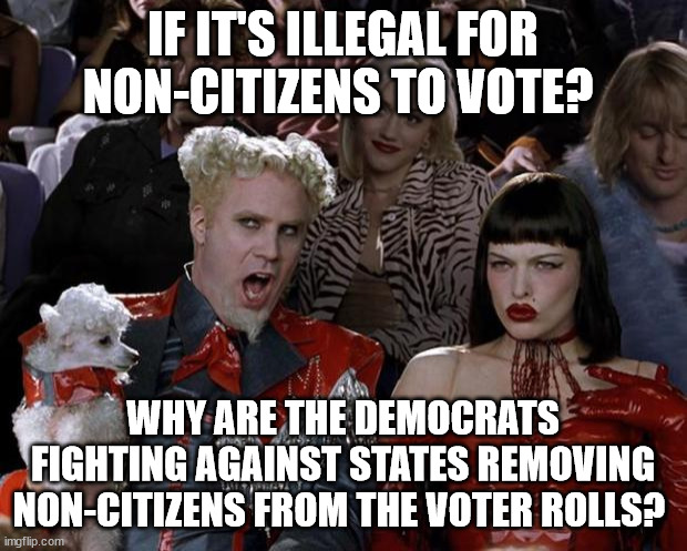 Mugatu So Hot Right Now | IF IT'S ILLEGAL FOR NON-CITIZENS TO VOTE? WHY ARE THE DEMOCRATS FIGHTING AGAINST STATES REMOVING NON-CITIZENS FROM THE VOTER ROLLS? | image tagged in memes,mugatu so hot right now | made w/ Imgflip meme maker