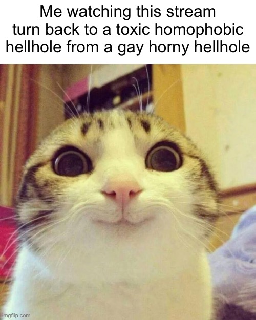 Smiling Cat | Me watching this stream turn back to a toxic homophobic hellhole from a gay horny hellhole | image tagged in memes,smiling cat | made w/ Imgflip meme maker