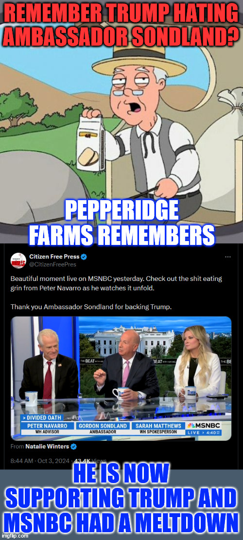 Another MSNBC meltdown...  another democrat comes out supporting President Trump | REMEMBER TRUMP HATING AMBASSADOR SONDLAND? PEPPERIDGE FARMS REMEMBERS; HE IS NOW SUPPORTING TRUMP AND MSNBC HAD A MELTDOWN | image tagged in memes,pepperidge farm remembers,sondland,supports trump,democrats destroying democracy | made w/ Imgflip meme maker