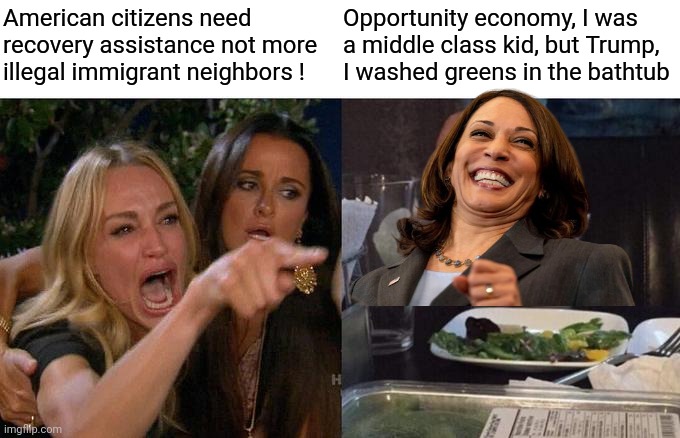 Woman Yelling At Cat Meme | American citizens need recovery assistance not more illegal immigrant neighbors ! Opportunity economy, I was a middle class kid, but Trump,  | image tagged in memes,woman yelling at cat | made w/ Imgflip meme maker