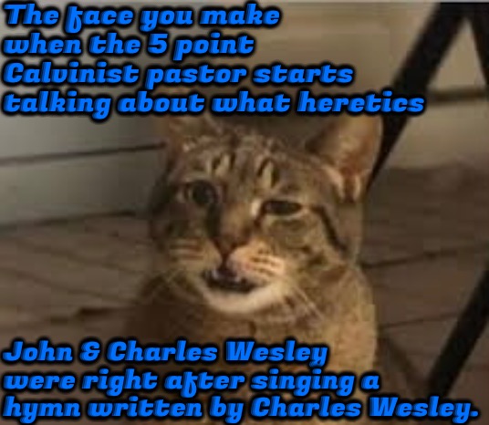 Hypocrite Thy Name Is 5 Point Preacher | The face you make when the 5 point Calvinist pastor starts talking about what heretics; John & Charles Wesley were right after singing a hymn written by Charles Wesley. | image tagged in hypocrisy,calvinism,arminian,molinism,wesleyan,really | made w/ Imgflip meme maker