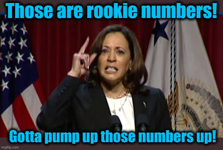 Kamala Angry | Those are rookie numbers! Gotta pump up those numbers up! | image tagged in kamala angry | made w/ Imgflip meme maker