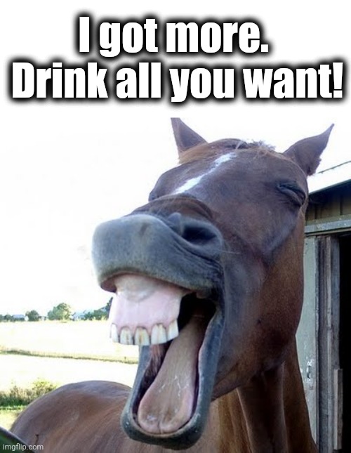 horse laugh | I got more.  Drink all you want! | image tagged in horse laugh | made w/ Imgflip meme maker