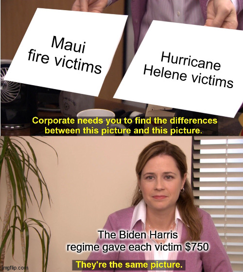 $750 is the magic number for American disaster victims... Biden Harris... America LAST | Maui fire victims; Hurricane Helene victims; The Biden Harris regime gave each victim $750 | image tagged in memes,they're the same picture,biden harris,america last | made w/ Imgflip meme maker