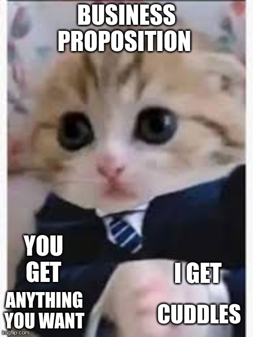 cute | BUSINESS PROPOSITION; YOU GET; I GET; ANYTHING YOU WANT; CUDDLES | image tagged in cute | made w/ Imgflip meme maker