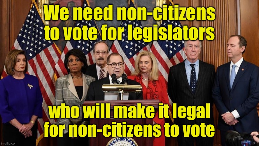 Democrats putting the cart before the horse | We need non-citizens to vote for legislators; who will make it legal for non-citizens to vote | image tagged in house democrats,government corruption | made w/ Imgflip meme maker