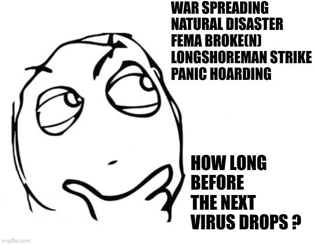 You can tell it is an election year | WAR SPREADING
NATURAL DISASTER
FEMA BROKE(N)
LONGSHOREMAN STRIKE
PANIC HOARDING; HOW LONG BEFORE THE NEXT VIRUS DROPS ? | image tagged in hmmm,presidential election,hurricane helene,fema,pandemic,election 2024 | made w/ Imgflip meme maker