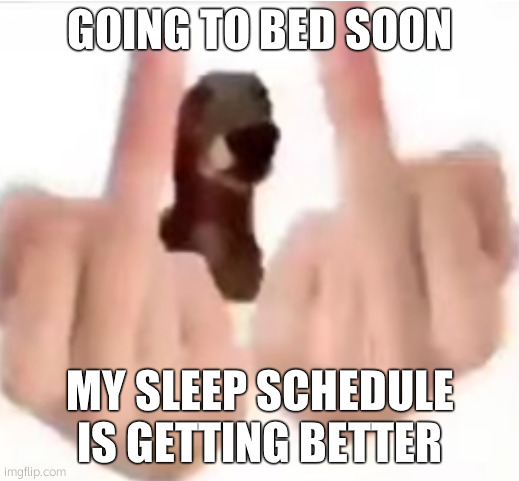 fuck you | GOING TO BED SOON; MY SLEEP SCHEDULE IS GETTING BETTER | image tagged in fuck you | made w/ Imgflip meme maker