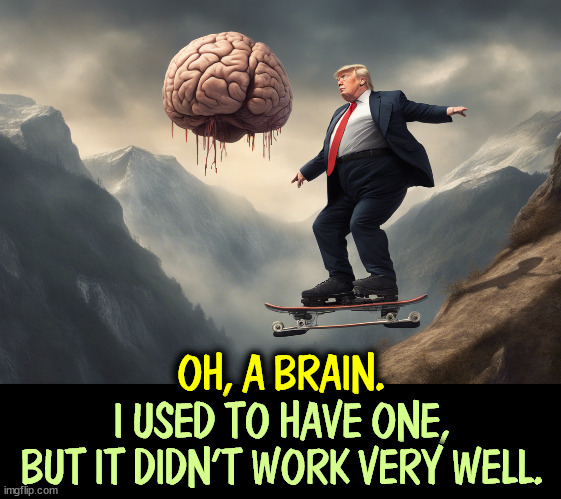 OH, A BRAIN. I USED TO HAVE ONE, BUT IT DIDN'T WORK VERY WELL. | image tagged in trump,brain,dumb,ignorant,senile,dementia | made w/ Imgflip meme maker