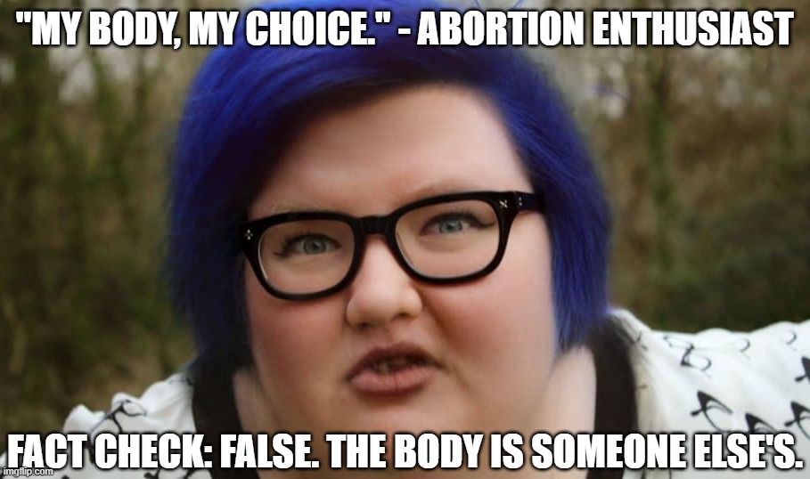 The Body of the Baby is Someone Else's | "MY BODY, MY CHOICE." - ABORTION ENTHUSIAST; FACT CHECK: FALSE. THE BODY IS SOMEONE ELSE'S. | image tagged in blue haired ugly feminist,baby,abortion | made w/ Imgflip meme maker