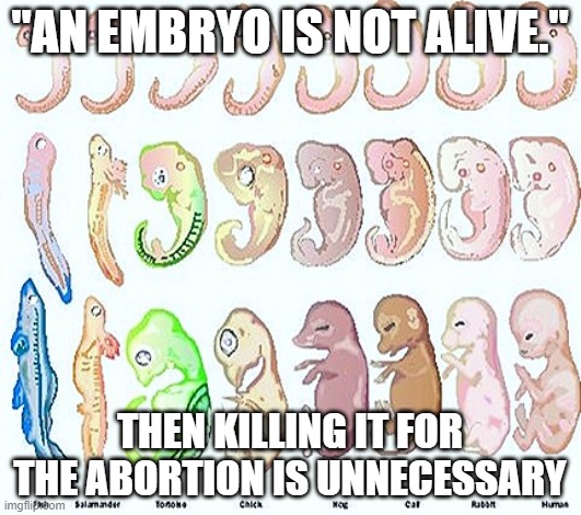 You Can't Kill Something That's Not Alive | "AN EMBRYO IS NOT ALIVE."; THEN KILLING IT FOR THE ABORTION IS UNNECESSARY | image tagged in embryology,abortion,stupid liberals | made w/ Imgflip meme maker