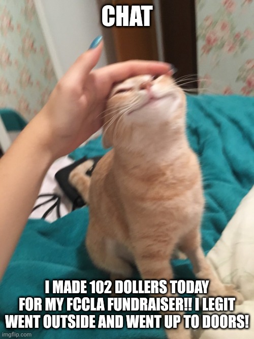 :3 | CHAT; I MADE 102 DOLLERS TODAY FOR MY FCCLA FUNDRAISER!! I LEGIT WENT OUTSIDE AND WENT UP TO DOORS! | image tagged in cat pat | made w/ Imgflip meme maker