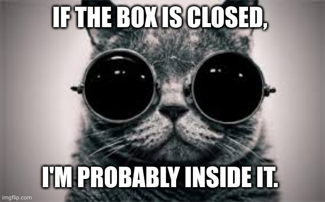 Schrodinger's cat in or out? | IF THE BOX IS CLOSED, I'M PROBABLY INSIDE IT. | image tagged in schrodinger's cat,steampunk,cat,unsolved mysteries,memes,goggles | made w/ Imgflip meme maker