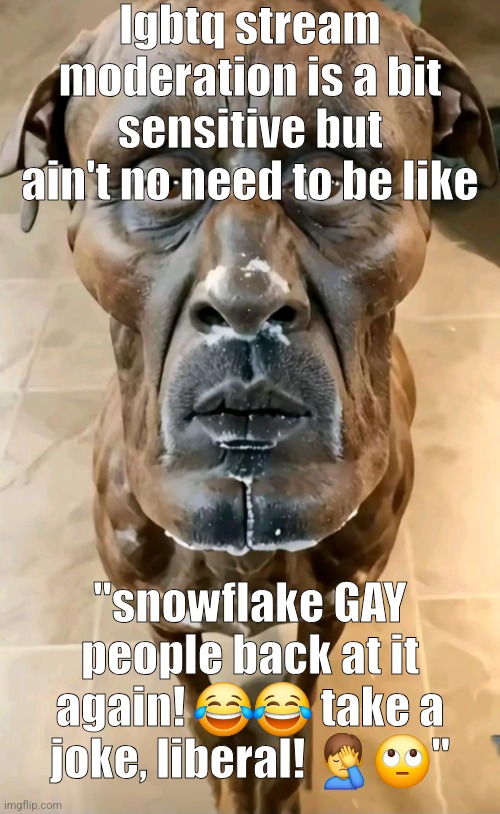 all of you hop off | lgbtq stream moderation is a bit sensitive but ain't no need to be like; "snowflake GAY people back at it again! 😂😂 take a joke, liberal! 🤦‍♂️🙄" | image tagged in a dog | made w/ Imgflip meme maker