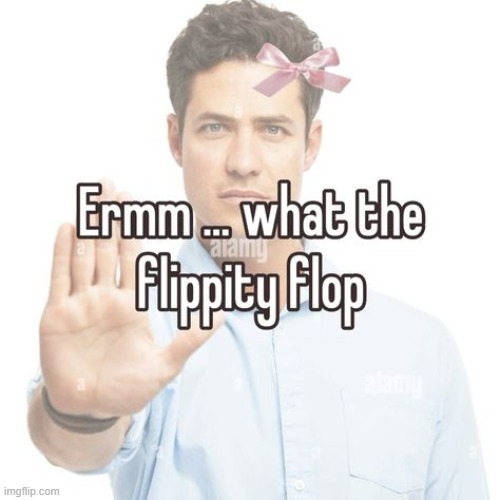 what the flip flap patty wack | made w/ Imgflip meme maker