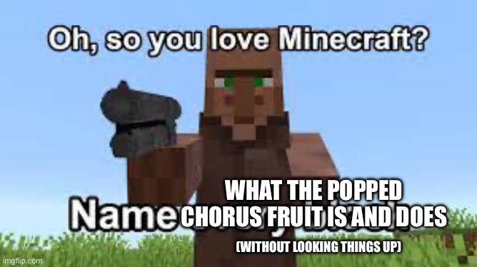 Oh so you like Minecraft? | WHAT THE POPPED CHORUS FRUIT IS AND DOES; (WITHOUT LOOKING THINGS UP) | image tagged in oh so you like minecraft | made w/ Imgflip meme maker