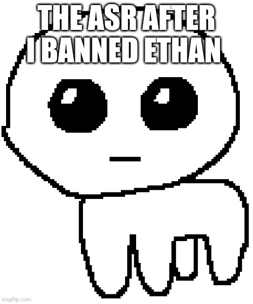 Prediction post | THE ASR AFTER I BANNED ETHAN | image tagged in yippee | made w/ Imgflip meme maker