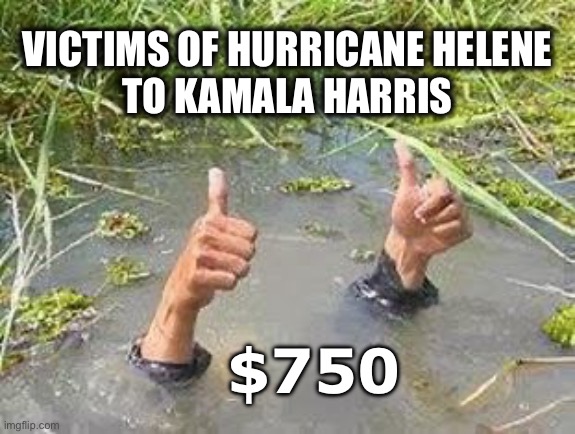 FLOODING THUMBS UP | VICTIMS OF HURRICANE HELENE
TO KAMALA HARRIS; $750 | image tagged in flooding thumbs up | made w/ Imgflip meme maker