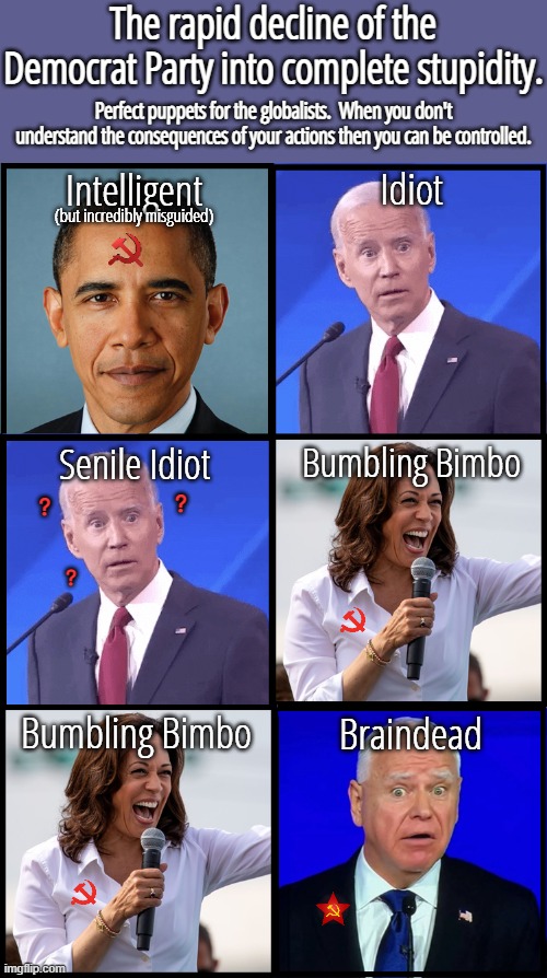 No Democrat can EVER call a Republican "stupid" ever again.  Not after who they have forced on us. | The rapid decline of the Democrat Party into complete stupidity. Perfect puppets for the globalists.  When you don't understand the consequences of your actions then you can be controlled. Idiot; Intelligent; (but incredibly misguided); Bumbling Bimbo; Senile Idiot; ? ? ? Bumbling Bimbo; Braindead | image tagged in the dumbest of the dumbest,hating trump is no excuse | made w/ Imgflip meme maker