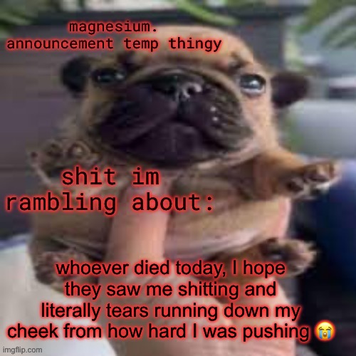 ts to funny not to post | whoever died today, I hope they saw me shitting and literally tears running down my cheek from how hard I was pushing 😭 | image tagged in pug temp | made w/ Imgflip meme maker