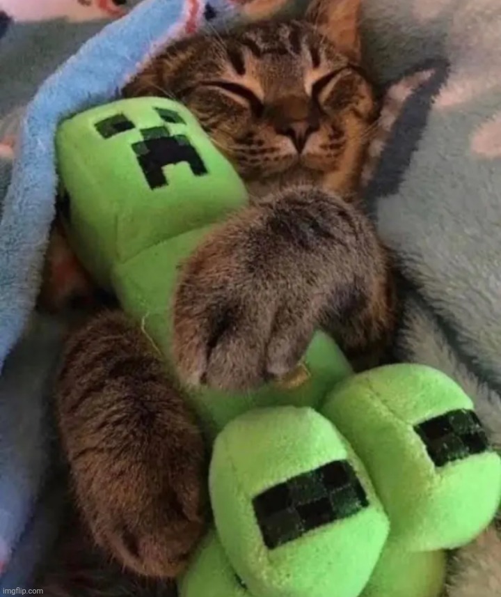 Bros scared for life | image tagged in funny cats,minecraft | made w/ Imgflip meme maker