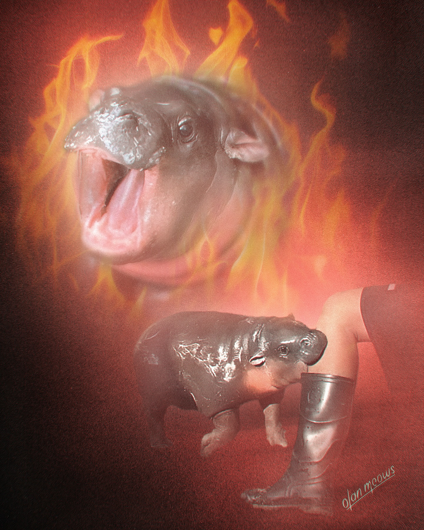 Moo Deng Angy Blank Meme Template