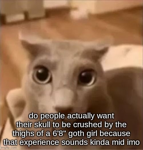 ahh cat | do people actually want their skull to be crushed by the thighs of a 6'8" goth girl because that experience sounds kinda mid imo | image tagged in ahh cat | made w/ Imgflip meme maker