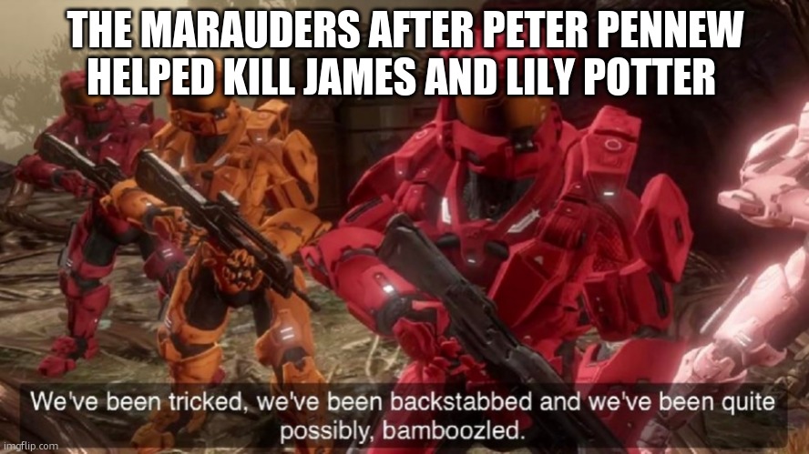 we've been betrayed. | THE MARAUDERS AFTER PETER PENNEW HELPED KILL JAMES AND LILY POTTER | image tagged in we've been tricked,barney will eat all of your delectable biscuits,bamboozled,funny memes,why are you reading this | made w/ Imgflip meme maker