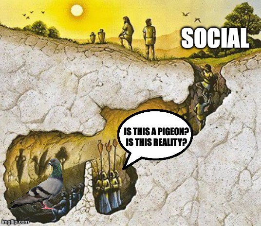 Meme Assignment | SOCIAL; IS THIS A PIGEON?
IS THIS REALITY? | image tagged in plato cave | made w/ Imgflip meme maker