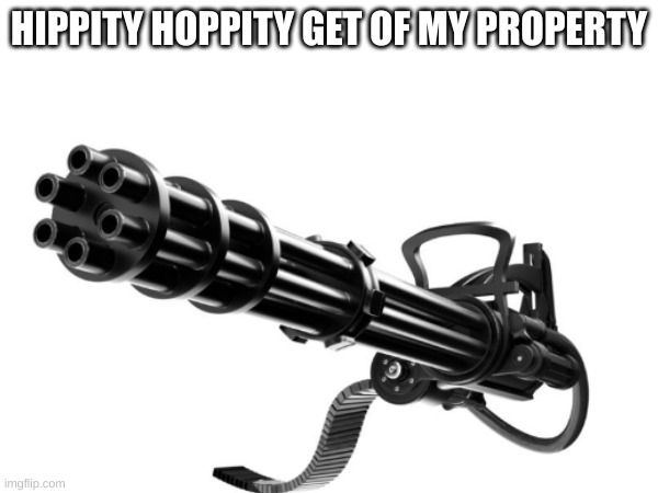 Texan frogs | HIPPITY HOPPITY GET OF MY PROPERTY | image tagged in guns,kermit the frog,texas,oh wow are you actually reading these tags | made w/ Imgflip meme maker