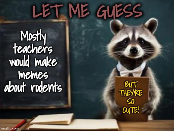 Why Did You Bring it Home?! | LET ME GUESS; Mostly teachers would make memes about rodents; BUT
THEY'RE
SO
CUTE! | image tagged in rodents,teachers,pets | made w/ Imgflip meme maker