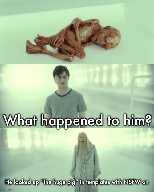 Dead Baby Voldemort / What Happened To Him | What happened to him? He looked up “the huge pig” in templates with NSFW on | image tagged in dead baby voldemort / what happened to him | made w/ Imgflip meme maker